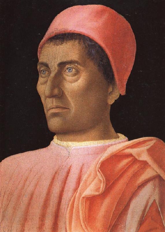 Andrea Mantegna Portrait of Carlo de'Medici oil painting picture